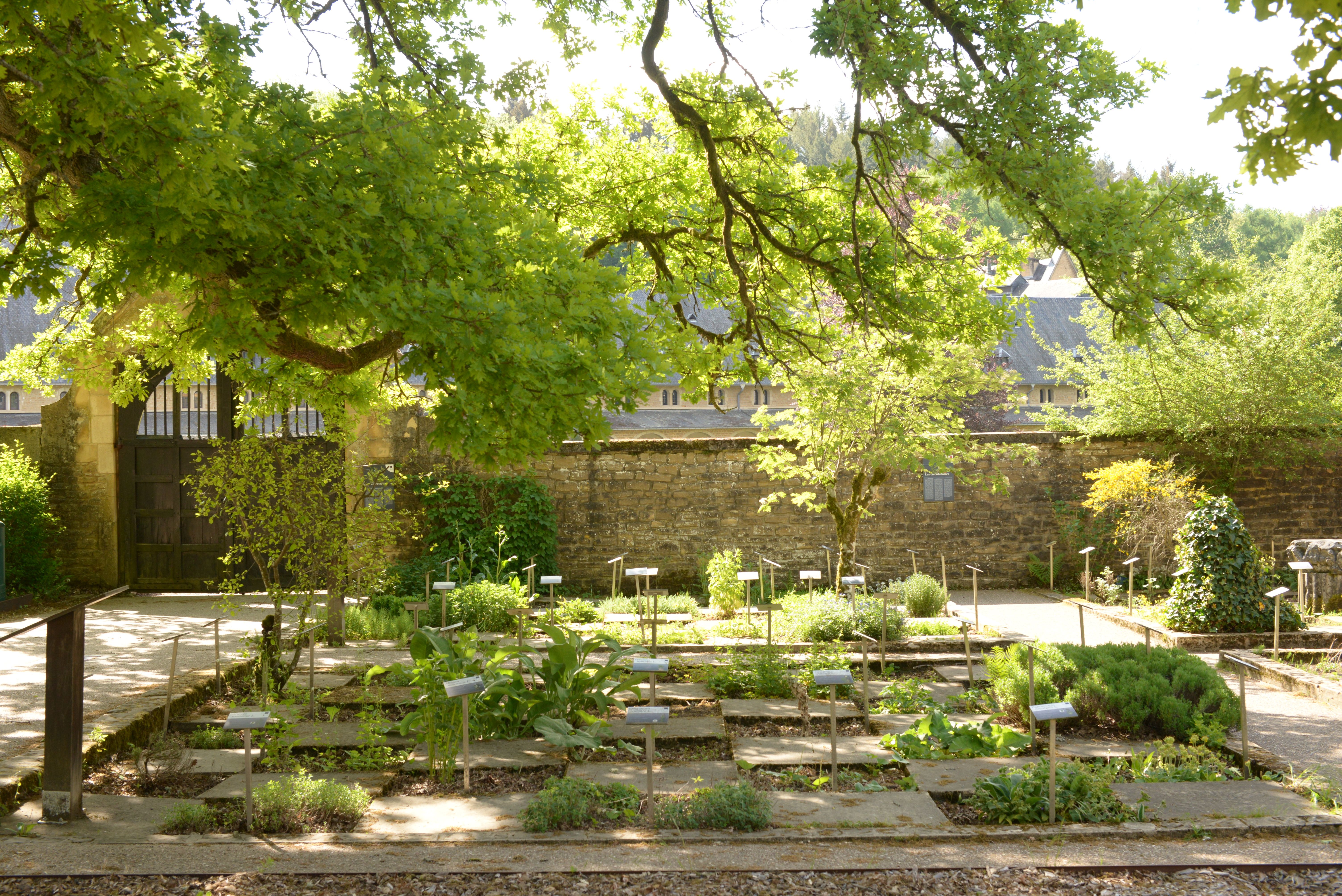 Rentrée de l'Ecole des Plantes à Orval